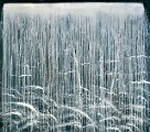 july-waterfall-1991.jpg