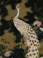 old-pine-tree-and-peacock-1761.jpg!Large.jpg