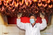xn0205.jpg