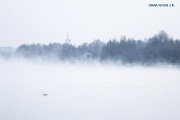 139594339_16081086643731n.jpg